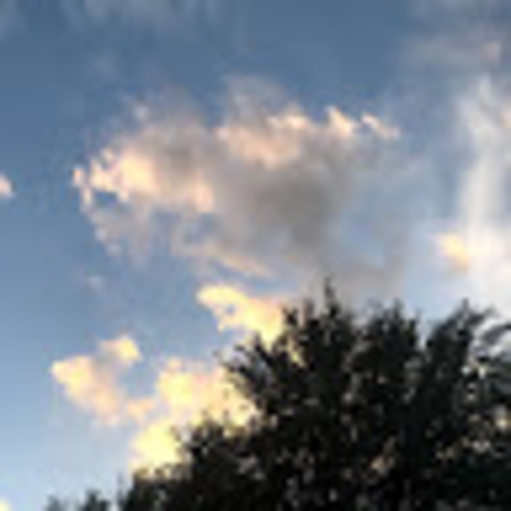 Meet your Posher, Sana